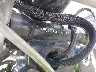 1HD1GX417AC****** Repairable 2010 Harley-Davidson Dyna Street Bob in Rec Rides Online Exclusive