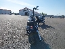 1HD1GX417AC****** Salvage and Repairable 2010 Harley-Davidson Dyna Street Bob in Minnesota State