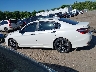 1HGCR2F50HA****** Salvage 2017 Honda Accord