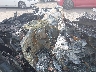 1FMJK1H89PE****** Salvamento 2023 Ford Expedition en Nashville
