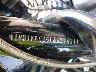1HD1KBC15LB****** Repairable 2020 Harley-Davidson FLHXS in Rec Rides Online Exclusive