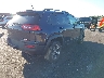 1C4PJMBS2FW****** Salvamento y Destrozados 2015 Jeep Cherokee en Estado de Illinois