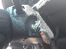 19UUA56653A****** Salvage 2003 Acura TL in Illinois State