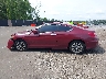 1HGCT1B86FA****** Salvage 2015 Honda Accord