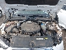 WAUGNAF43HN****** Repairable 2017 Audi A4 in Lubbock