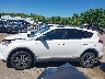 JTMBFREV0HJ****** Salvage 2017 Toyota RAV4