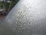 3VV2B7AX2MM****** Reparables 2021 Volkswagen Tiguan en Estado de Massachusetts