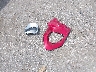 1V2BR2CA1RC****** Wrecked 2024 Volkswagen Atlas in Texas State