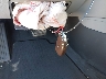 5NPD84LF9JH****** Salvamento 2018 Hyundai Elantra en Estado de Pennsylvania