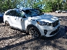 5XYPH4A57KG****** Salvage and Wrecked 2019 Kia Sorento in Suffolk