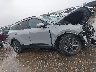 5XYK43DF9RG****** Destrozados 2024 Kia Sportage en Estado de Texas