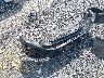 3N1AB8DV8SY****** Wrecked 2025 Nissan Sentra in Maryland State