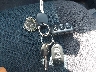 2T1LR32E35C****** Salvage 2005 Toyota Matrix in Illinois State