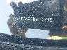 3VV4B7AX9RM****** Used 2024 Volkswagen Tiguan