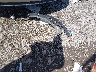 1HGCR2F59FA****** Destrozados 2015 Honda Accord en Estado de Tennessee