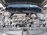 KMHLS4DGXSU****** Reparables 2025 Hyundai Elantra en Springfield
