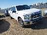 1FTEW1CG3HK****** Salvamento y Destrozados 2017 Ford F-150 en Fresno