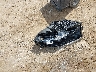 W1NKM4HBXTU****** Wrecked 2026 Mercedes-Benz GLC-Class in New York State