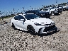 4T1DAACK6SU****** Salvamento y Destrozados 2025 Toyota Camry en Savannah