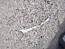 2FMDK3JC3BB****** Wrecked 2011 Ford Edge in Iowa State