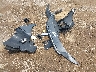 KMHLM4DG1TU****** Wrecked 2026 Hyundai Elantra in Texas State