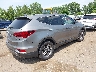 5NMZTDLB5HH****** Salvamento y Destrozados 2017 Hyundai Santa Fe en Estado de Minnesota