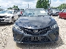 4T1M11AK2LU****** Destrozados 2020 Toyota Camry en Estado de Illinois