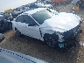 KMHLM4DJ1SU****** Salvamento y Destrozados 2025 Hyundai Elantra Hybrid en Little Rock