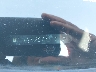 2GNALAEK3E6****** Used 2014 Chevrolet Equinox in Southern New Jersey