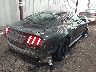 1FA6P8TH3F5****** Salvamento y Destrozados 2015 Ford Mustang en Estado de Virginia