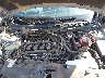 SHHFK7H62MU****** Repairable 2021 Honda Civic in Tifton