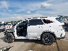 5XYRK4LF1PG****** Salvage 2023 Kia Sorento