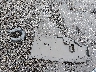 KNDJ23AU7S7****** Wrecked 2025 Kia Soul in South Carolina State