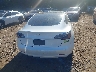 5YJ3E1EB3MF****** Destrozados 2021 Tesla Model 3