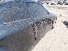 JNKCV54E84M****** Used 2004 Infiniti G35 in California State