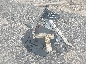 WA1C4AFY7J2****** Destrozados 2018 Audi SQ5 en Estado de Wisconsin