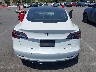 5YJ3E1EB1KF****** Wrecked 2019 Tesla Model 3