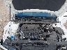 KMHLP4DGXSU****** Reparables 2025 Hyundai Elantra en Longview