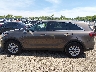 5XYPGDA31LG****** Repairable 2020 Kia Sorento in Illinois State