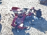 5YFEPRAE7LP****** Wrecked 2020 Toyota Corolla in Florida State