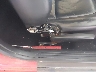 3VWBB61CXWM****** Reparables 1998 Volkswagen Beetle en Estado de Tennessee