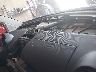 3VWBB61CXWM****** Salvamento 1998 Volkswagen Beetle