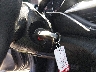 3KPF24AD0PE****** Salvage 2023 Kia Forte in Ohio State
