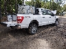 1FTFW1E50NF****** Salvage and Wrecked 2022 Ford F-150 in Virginia State