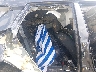 5N1DR3BB3SC****** Destrozados 2025 Nissan Pathfinder en Grenada