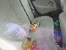 KNADM4A32D6****** Wrecked 2013 Kia Rio in Seattle