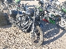 1HD1YXZ16PB****** Salvage and Wrecked 2023 Harley-Davidson Low Rider ST in Rec Rides Online Exclusive
