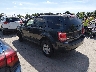 1FMCU93749K****** Salvamento y Reparables 2009 Ford Escape en Louisville North