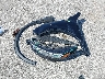 1FMCU0GN2PU****** Wrecked 2023 Ford Escape in Missouri State
