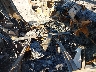 2HGFB2F8XDH****** Used and Repairable 2013 Honda Civic in Massachusetts State